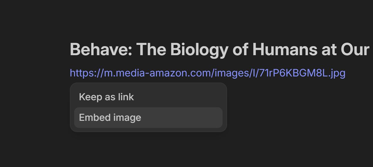 {{ $doc.appConfig.name }} app showing embed image menu